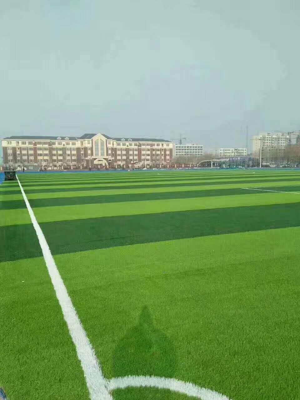 延安市epdm塑胶跑道仿真草坪 - 排名
